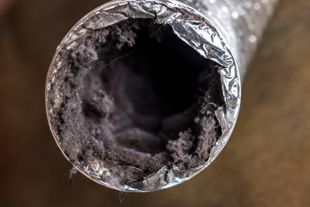 Best Air Duct Cleaning Near Me  in Taylor, TX