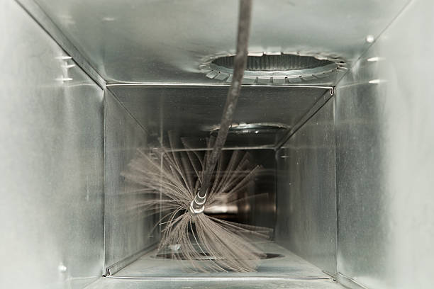 Best Local Air Duct Cleaning Services  in Taylor, TX