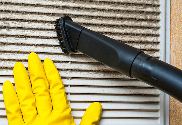 Best Affordable Air Duct Cleaning  in Taylor, TX